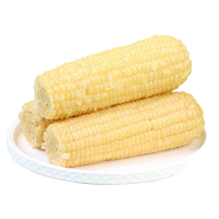 [西沛生鲜]新鲜云南白糯玉米 净重9斤 黏玉米甜糯玉米袋装粘玉米黄糯玉米现摘