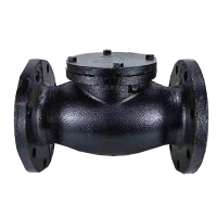 盛京联硕 铸铁法兰止回阀 H44T-16Q DN150 台