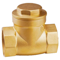 冰城同祥 铜止回阀 DN15 个