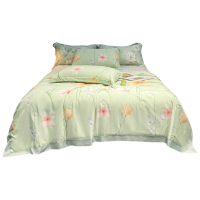 华夏盛锦 莫代尔天丝夏凉被 200*230cm HXSJ-JC18 条