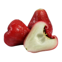 [西沛生鲜]海南黑金刚莲雾 热带水果 大果 净重4.5斤 单果80-120g 当季水果 现摘现发 清甜爽口