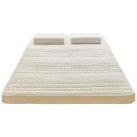 云意生 乳胶床垫 6cm 90*200cm/张