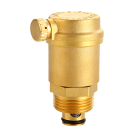 奇点森源 自动排气阀QD-125 个