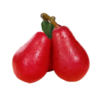 [苏鲜生]东北正宗冻梨 净重5斤 大果 单果300-400g 新鲜水果当季香梨整箱青雪酥梨应季特产梨