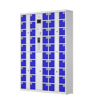 卉茵 手机存放柜 50门 台