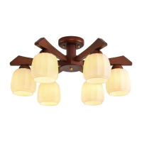 雷士照明新中式吊灯别墅客厅吊灯轻奢餐厅吊灯简约风大气中国风66