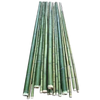 衡雁骏兴 竹抬杠 1800mm 根