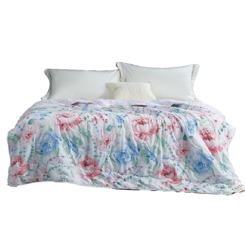 富安娜 七孔抗菌夏季凉爽空调被 荷风细雨203*229cm