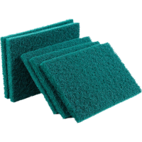 [疆不凡] 百洁布10*15cm个