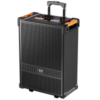 索爱(soaiy)SA-F29手提音响高低音户外k歌大音量广场舞电木吉他乐器音箱直播小型家用音箱 双麦