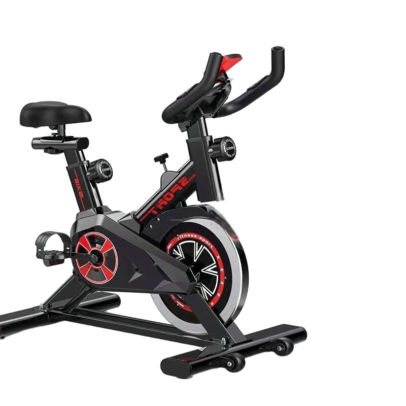 爱洛斯 脚踏车室内运动自行车锻炼健身器材 经典款-有表有心率