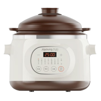 九阳电炖锅3L长效保温防干烧多功能电炖锅DG30Z-GD636