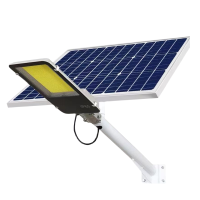 维思泰 太阳能路灯 WST-LD36-60 个