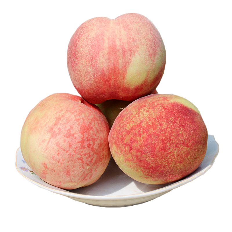 [西沛生鲜] 云南新鲜红宝石水蜜桃蜜桃新鲜水果 净重 5斤 大果 单果100-120g 应季现摘脆甜毛桃子 整箱