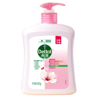 滴露洗手液温和健康清洁滋润倍护甄选系列450g*1瓶