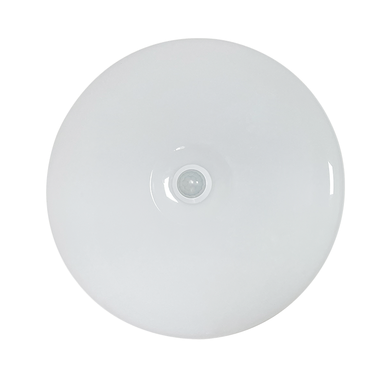 铂锜澳人体感应三防灯个