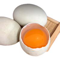 鸭蛋新鲜生鸭蛋土鸭蛋农家散养农村