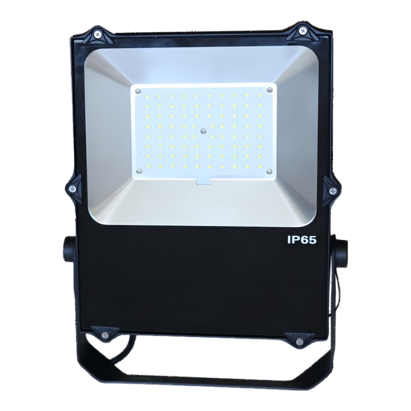 光大特照 GD-EBF207(LQ)-100 100W 100流明 色温2700-6500K LED泛光灯 个 黑色