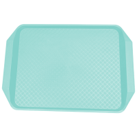 皆尔 北欧款 托盘 绿色 /个