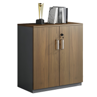 锁匠 办公柜两门台