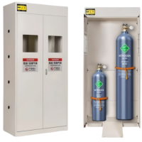 攸形气瓶柜双瓶900*450*1900mm台