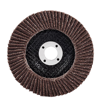 顺心捷 百叶轮 125×22×80目 块