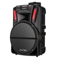 夏新(AMOI)户外音响OK-19 单麦版