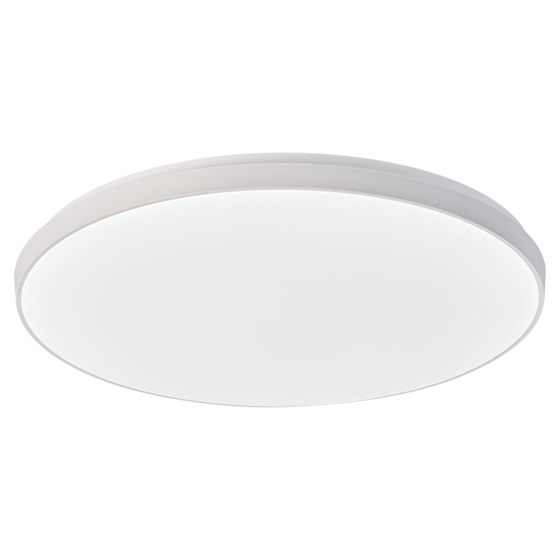 雷士照明led吸顶灯简约现代灯具过道灯阳台灯具66