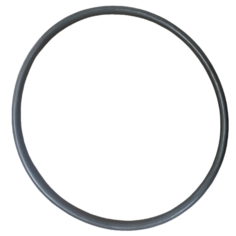 vzi 密封圈 230mm×8.6mm 个