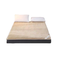 百纳千禧牛奶绒加厚硬质棉床垫 BNQX-CD015 180*200cm
