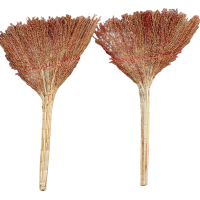 根泰鑫源净籽高梁苗扫把52CM/把