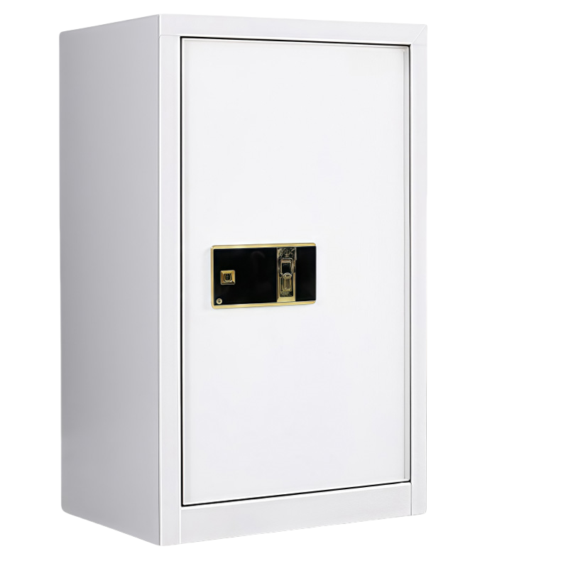 豫龙都保密柜单门台