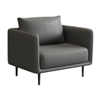 演发 沙发单 张