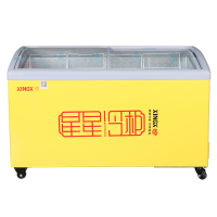 星星(XINGX)246升 冰柜商用冷柜雪糕柜展示柜单温冰柜冷藏冷冻转换柜卧式冷柜雪柜大容量SD/SC-246SY