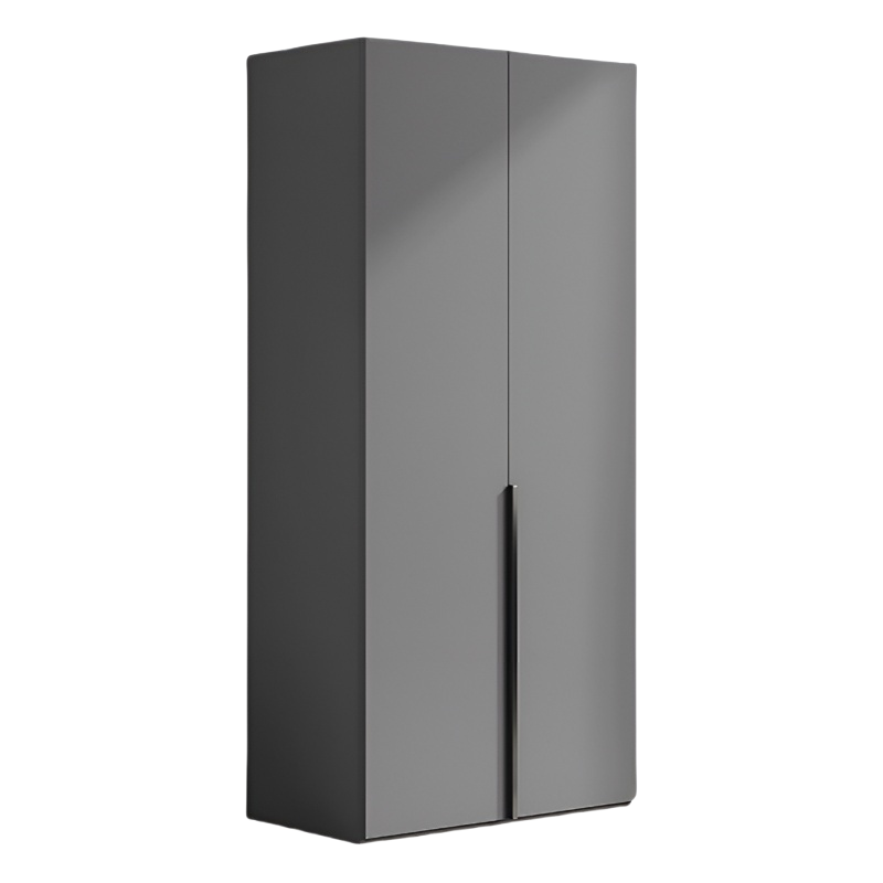 乐琪艺 衣柜 二门(80cm)台