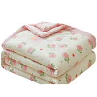 蕃蒂空调被180*200CM条