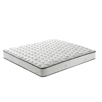 晋涵 椰棕床垫 1.5*2米 张