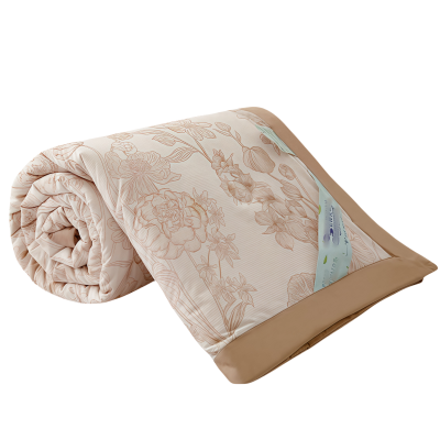 亿洛莱 夏被 150*200cm 条