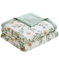 亿洛莱 空调被 180*200cm 条