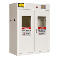 晨磊 防爆气瓶柜 双瓶煤气瓶 台