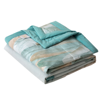 雅鹿家纺佰花锦沁雅夏被兰香印花空调被