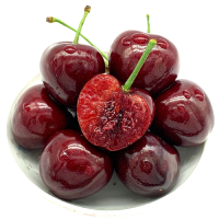 [西沛生鲜]山东美早大樱桃 JJ级 净重4.5斤装 应季车厘子 新鲜水果 西沛