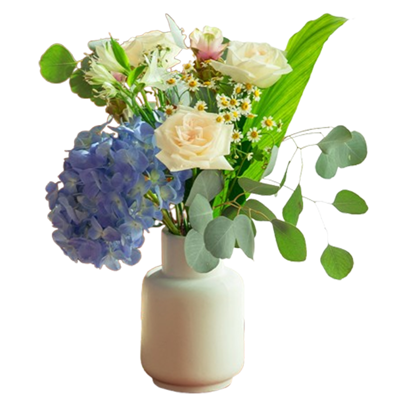 花点时间花束易打理体验花点时间的花束人生四季