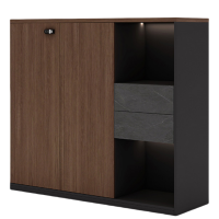 烁恒 文件柜 2抽2门 个