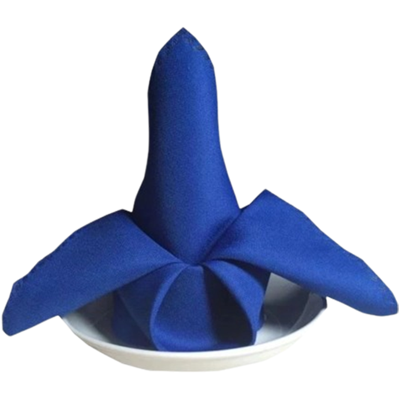 欧梦澜 桌布小餐巾口布 48*48cm 块