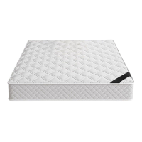 宜掌柜 椰棕床垫 200*90cm 张