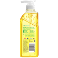 AXE柠檬玻尿酸护肤洗洁精500g泵