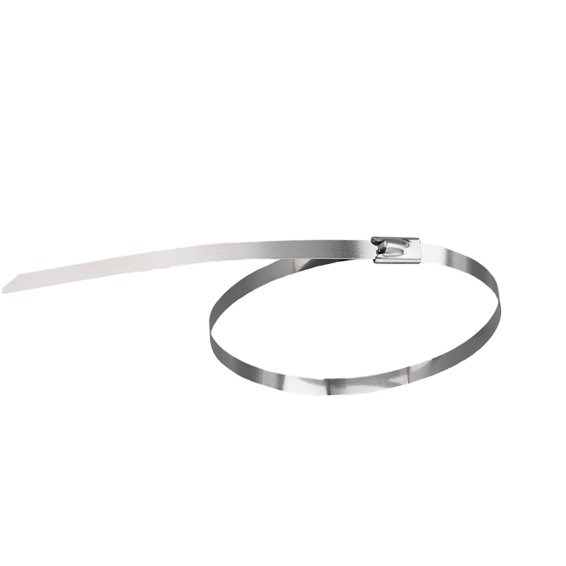 墨中正人不锈钢扎带zd700根