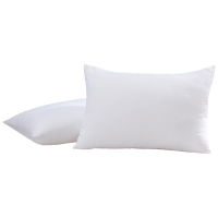 梦洁家纺 臻柔享梦对枕 48*74cm*1对