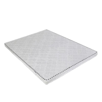 盛铁达 椰棕床垫1000*2000*80mm STD-XS249 张